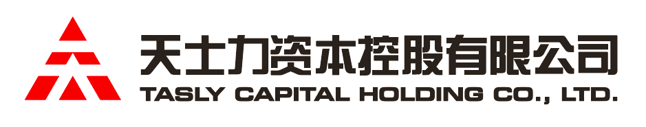 wg电子资本控股有限公司